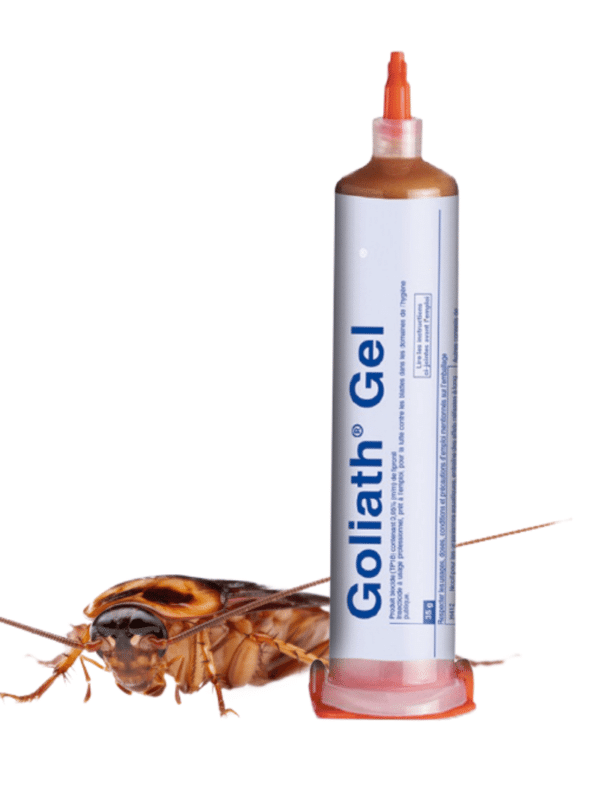 goliath gel anti blattes cafards 35g - boutique antinuisibles algérie