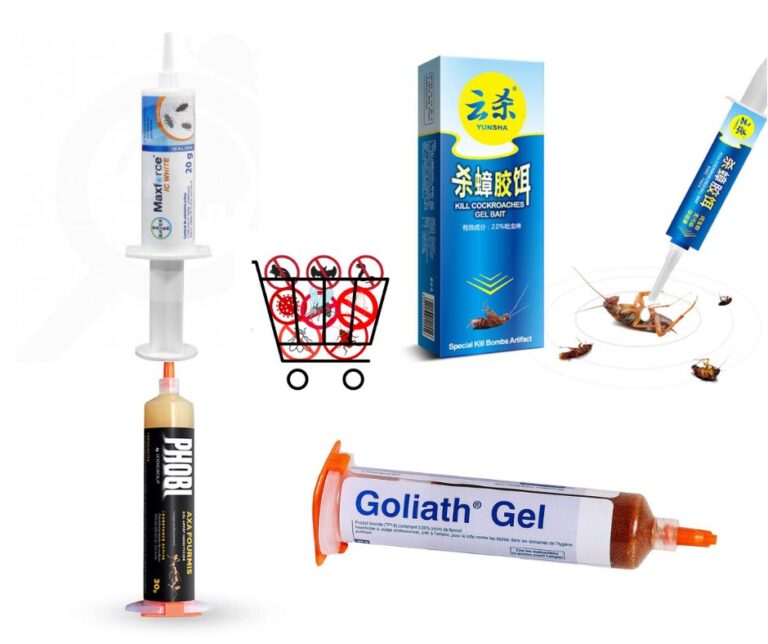 goliath gel anti blattes cafards 35g - boutique antinuisibles algérie
